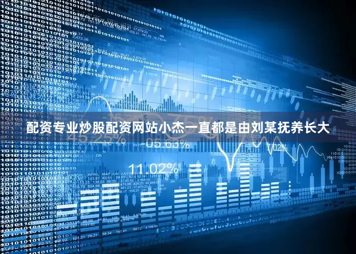 配资专业炒股配资网站小杰一直都是由刘某抚养长大